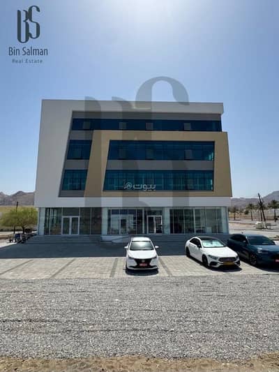 عقارات تجارية اخرى  للايجار في العامرات، مسقط - استوديو تجاري آخر للإيجار العمارات، مسقط