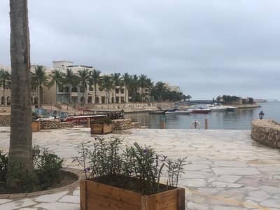 فلیٹ 1 غرفة نوم للبيع في صلالة، ظفار - شقة من غرفة نوم واحدة للبيع في صلالة، ظفار