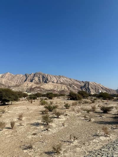 Residential Land for Sale in Al Amarat, Muscat - Residential Land For Sale in Al Amarat, Muscat