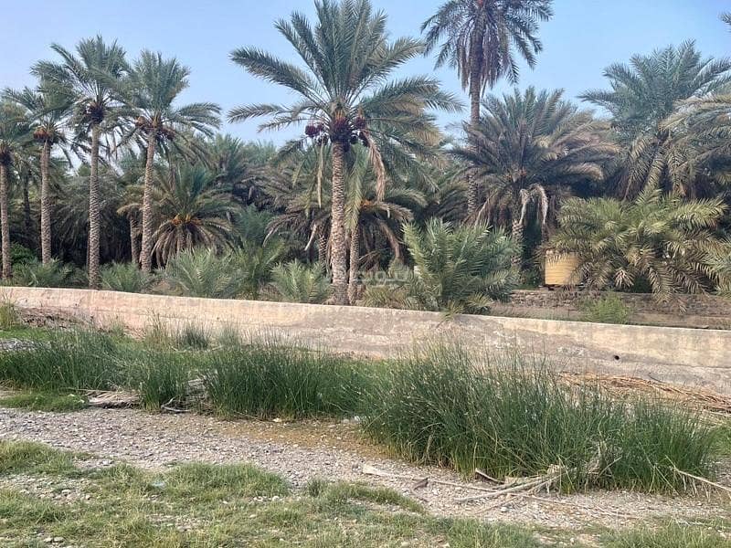 أرض سكنية للبيع في بيدbid, الداخلية أرض سكنية للبيع في بيدbid, الداخلية