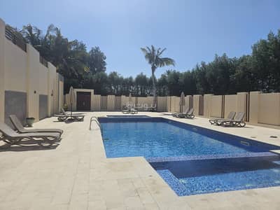 1 Bedroom Room for Rent in Salalah, Dhofar - 1 Bedroom Room For Rent in Salalah, Dhofar 1 Bedroom Room for Rent in Salalah, Dhofar - 1 Bedroom Room For Rent in Salalah, Dhofar