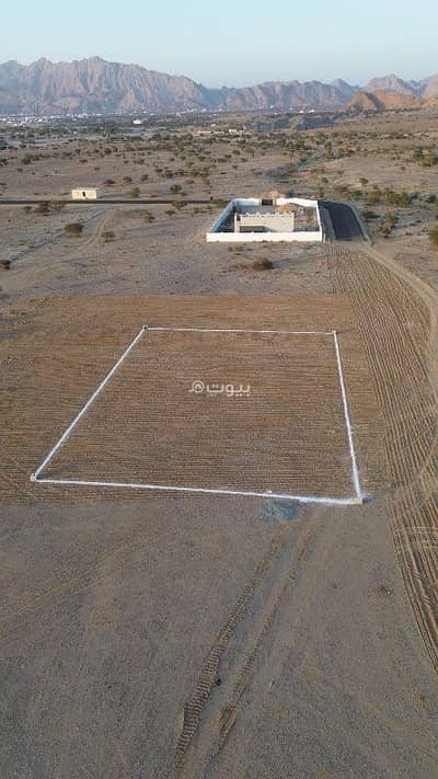 ارض سكنية  للبيع في العامرات، مسقط - ارض سكنية للبيع في الأمارات، مسقط