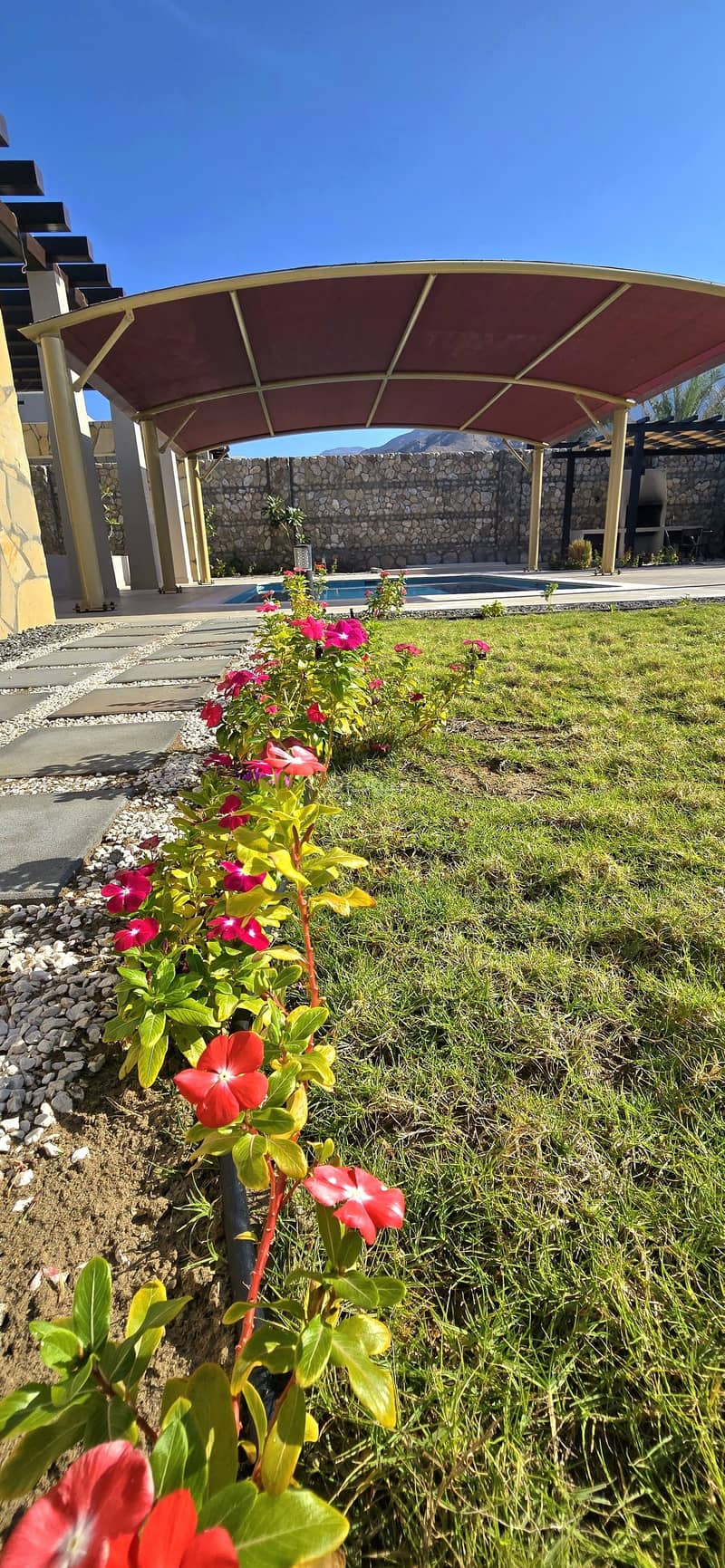 20 