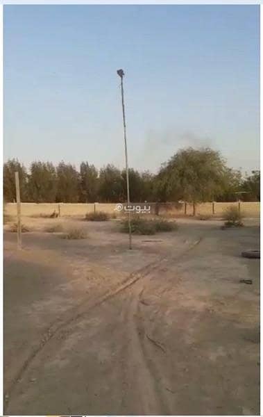 Residential Land for Sale in Al Masn'a, Al Batinah - Residential Land For Sale in Al Masn'a, Al Batinah