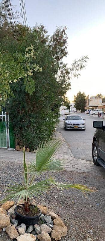 فلیٹ 3 غرف نوم للايجار في السيب، مسقط - شقة مفروشة من 3 غرف نوم للإيجار في السيب، مسقط