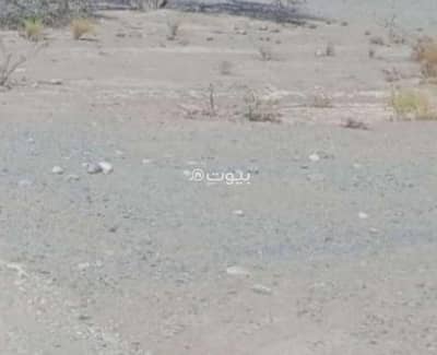 ارض سكنية  للبيع في صور، الشرقية - أرض سكنية للبيع في صور، الشرقية