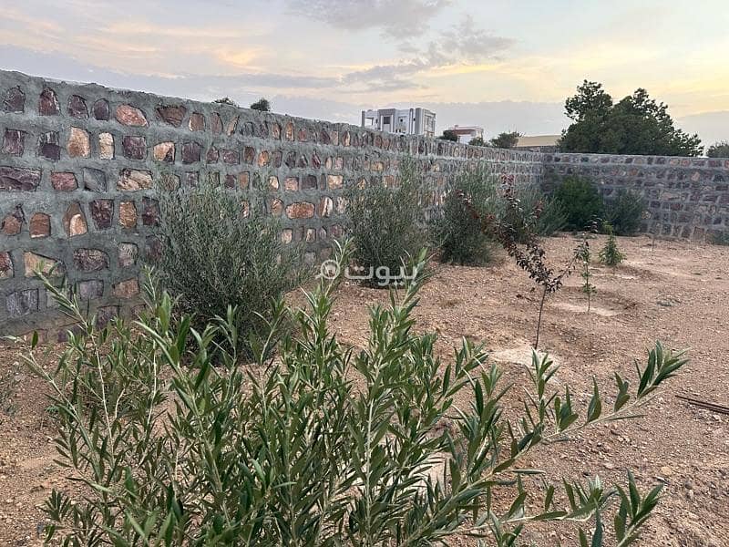 Residential Land For Sale in Nizwa, Al Dakhiliya Residential Land For Sale in Nizwa, Al Dakhiliya