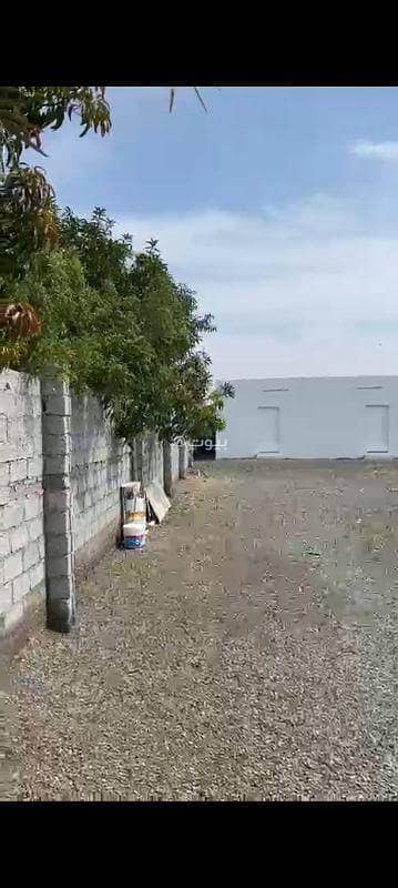 ارض سكنية  للايجار في صحار، الباطنة - أرض سكنية للإيجار في صحار، الباطنة