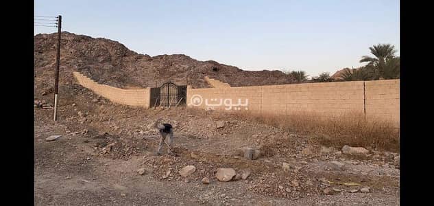ارض سكنية  للايجار في المسفاة، مسقط - أرض سكنية للإيجار في مسفاة، مسقط