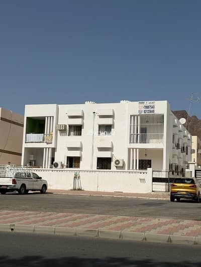 فلیٹ 3 غرف نوم للايجار في وادي الكبير، مسقط - شقة من 3 غرف نوم للإيجار في الوادي الكبير، مسقط فلیٹ 3 غرف نوم للايجار في وادي الكبير، مسقط - شقة من 3 غرف نوم للإيجار في الوادي الكبير، مسقط