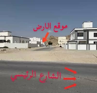 ارض سكنية  للبيع في العامرات، مسقط - أرض سكنية للبيع في الأمارات، مسقط