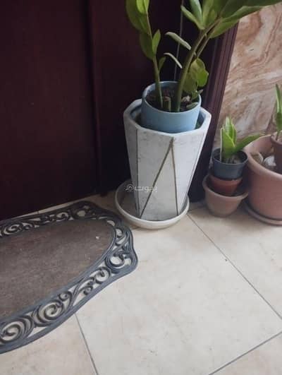 2 Bedroom Flat for Rent in Al Seeb, Muscat - 2 Bedrooms Apartment For Rent Al Seeb, Muscat 2 Bedroom Flat for Rent in Al Seeb, Muscat - 2 Bedrooms Apartment For Rent Al Seeb, Muscat