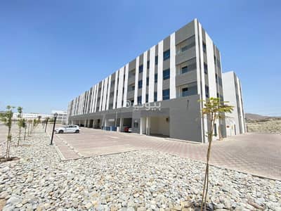1 Bedroom Flat for Rent in Ansab, Muscat - 1 Bedroom Apartment For Rent in Ansab, Muscat