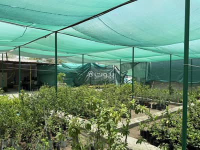 Other Commercial for Sale in Al Hail, Muscat - 1100 SQM Other Commercial For Sale in Al Hail, Muscat