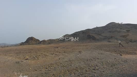 ارض سكنية للبيع في لوى، الباطنة - أرض سكنية للبيع في ليوا، الباطنة ارض سكنية للبيع في لوى، الباطنة - أرض سكنية للبيع في ليوا، الباطنة