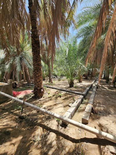 Residential Land for Sale in Ansab, Muscat - Residential Land For Sale in Ansab, Muscat