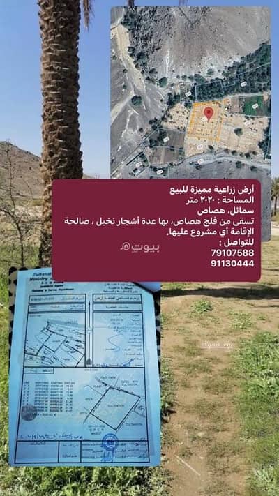 ارض سكنية  للبيع في الداخلية - أرض سكنية للبيع في الدخلية