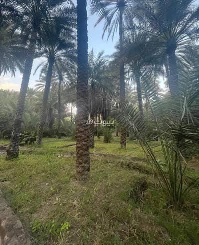 Residential Land for Sale in Sumail, Al Dakhiliya - Residential Land For Sale in Sumail, Al Dakhiliya