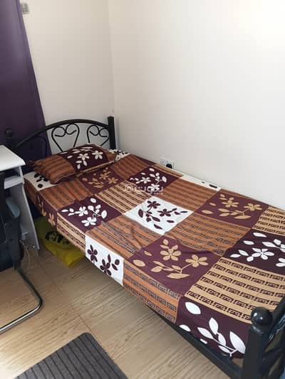 3 Bedroom Apartment for Rent in Azaiba, Muscat - 3 Bedroom Furnished Apartment For Rent in Azaiba, Muscat