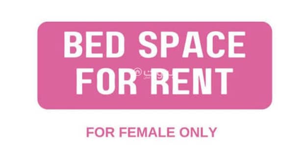 غرفة 1 غرفة نوم للايجار في غلا، مسقط - غرفة 1 Bedroom للايجار في غلا، مسقط