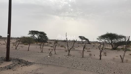 Residential Land for Sale in Al Mudaibi, Al Sharqiya - Residential Land For Sale in Al Mudaibi, Al Sharqiya Residential Land for Sale in Al Mudaibi, Al Sharqiya - Residential Land For Sale in Al Mudaibi, Al Sharqiya