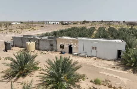 ارض سكنية  للبيع في أدم، الداخلية - أرض سكنية للبيع في آدم، الداخلية