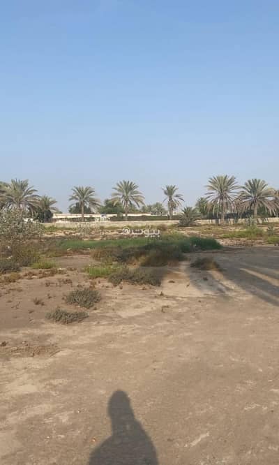 Residential Land for Rent in Al Masn'a, Al Batinah - Residential Land For Rent in Al Masn'a, Al Batinah