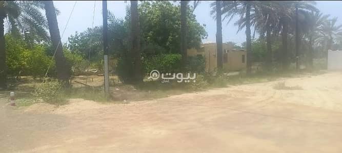 ارض سكنية للبيع في السويق، الباطنة - أرض سكنية للبيع في السويق، الباطنة ارض سكنية للبيع في السويق، الباطنة - أرض سكنية للبيع في السويق، الباطنة