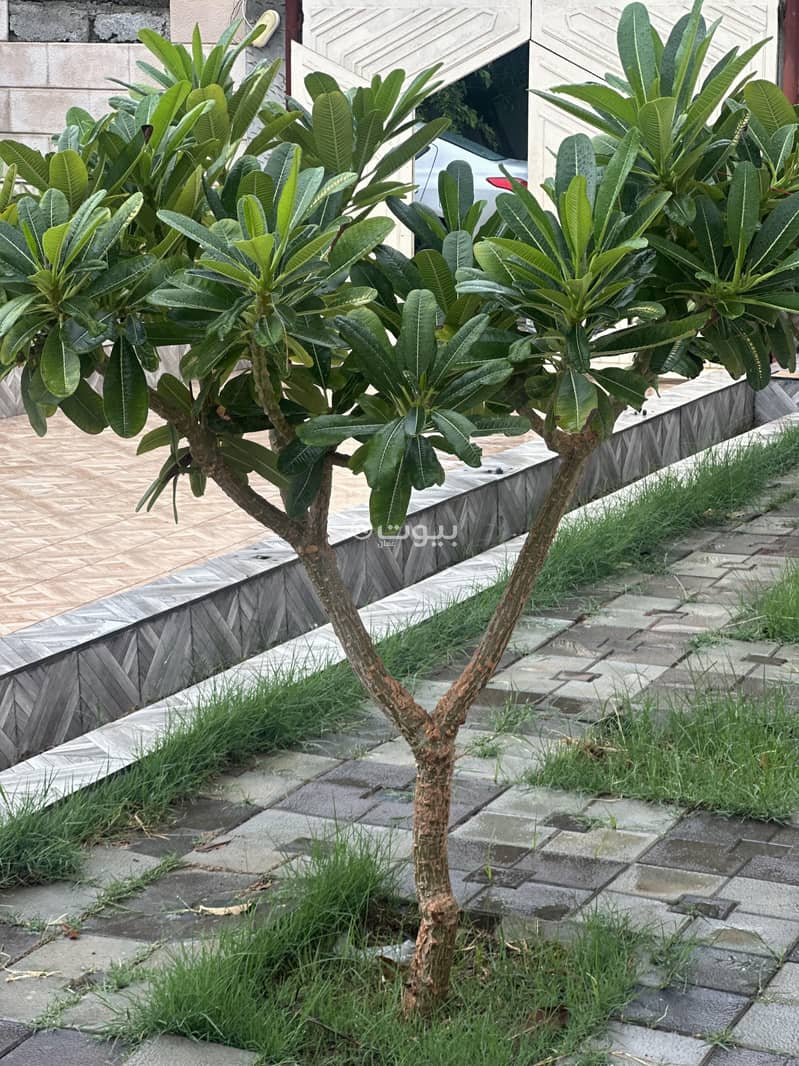 Residential Land For Sale in Sohar, Al Batinah Residential Land For Sale in Sohar, Al Batinah