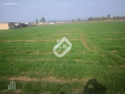 3 Bedroom Flat for Sale in Sohar, Al Batinah - 3 Bedroom Apartment For Sale in Sohar, Al Batinah 3 Bedroom Flat for Sale in Sohar, Al Batinah - 3 Bedroom Apartment For Sale in Sohar, Al Batinah