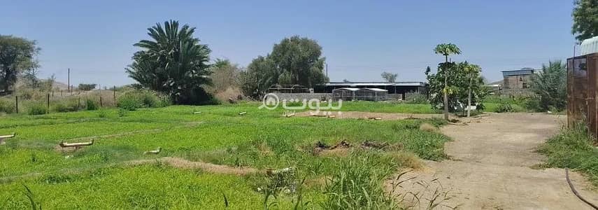 ارض سكنية للبيع في ازكي، الداخلية - أرض سكنية للبيع في إزكي، الداخلية ارض سكنية للبيع في ازكي، الداخلية - أرض سكنية للبيع في إزكي، الداخلية