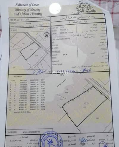ارض سكنية للبيع في صحار، الباطنة - أرض سكنية للبيع في صحار، الباطنة ارض سكنية للبيع في صحار، الباطنة - أرض سكنية للبيع في صحار، الباطنة
