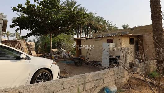 Residential Land for Sale in Saham, Al Batinah - Residential Land For Sale in Saham, Al Batinah