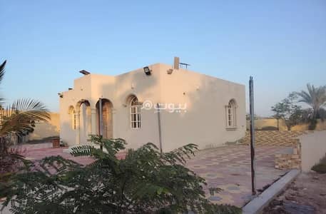 ارض سكنية  للايجار في المصنعة، الباطنة - أرض سكنية للإيجار في المصنعة، الباطنة