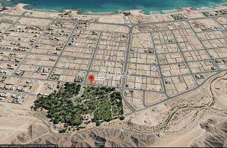 Residential Land for Sale in Al Masn'a, Al Batinah - Residential Land For Sale in Al Masn'a, Al Batinah