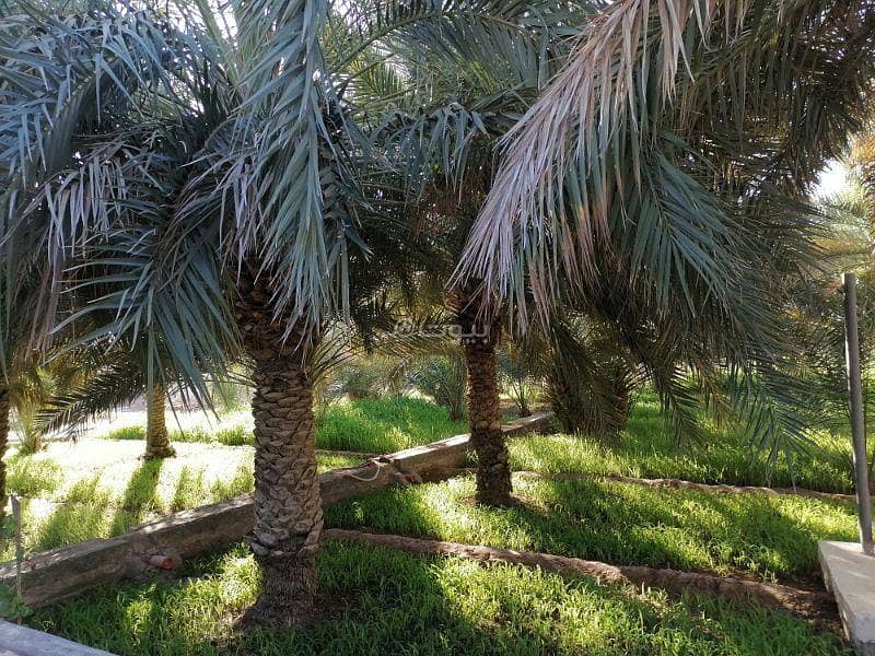 شاليه 2 غرف نوم للبيع في أدم، الداخلية