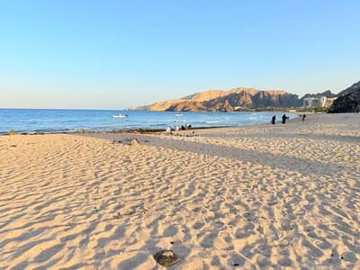 5 Bedroom Villa for Rent in Al Bustan, Muscat - 5 Bedrooms Villa For Rent Al Bustan, Muscat