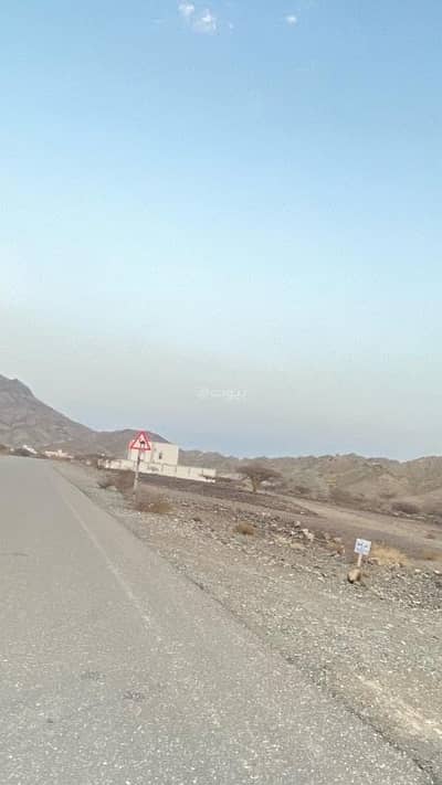 ارض سكنية  للبيع في ينقل، الظاهرة - أرض سكنية للبيع في ينقل، الظاهرة