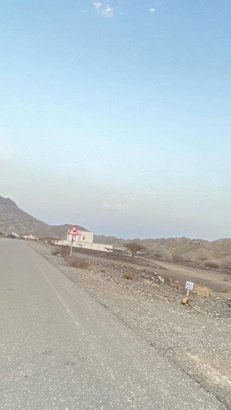 أرض سكنية للبيع في ينقل، الظاهرة