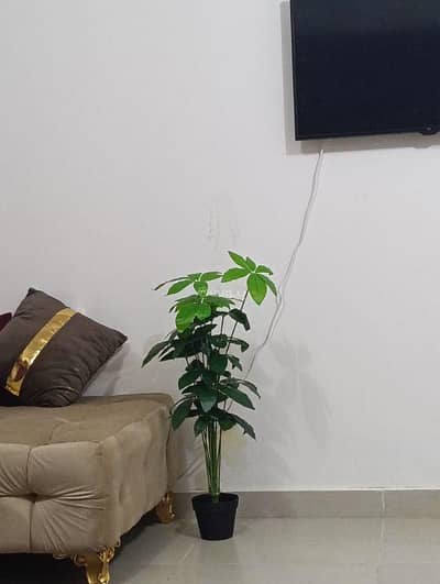 2 Bedroom Flat for Rent in Al Maabilah, Muscat - 2 Bedrooms Apartment For Rent Al Maabilah, Muscat