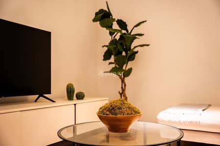 1 Bedroom Apartment for Sale in Al Maabilah, Muscat - 1 Bedroom Apartment For Sale Al Maabilah, Muscat