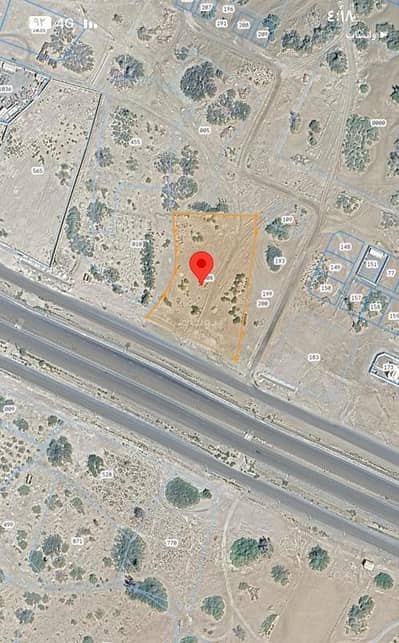 Residential Land for Sale in Barka, Al Batinah - Residential Land For Sale in Barka, Al Batinah