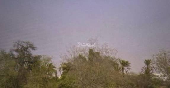ارض سكنية  للبيع في بركاء، الباطنة - أرض سكنية للبيع في بركاء، الباطنة