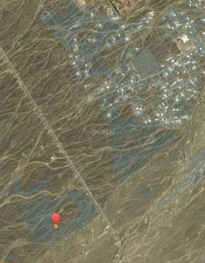 Residential Land for Sale in Shinas, Al Batinah - Residential Land for Sale in Shinas, Al Batinah