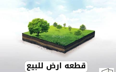 ارض سكنية  للبيع في المضيبي، الشرقية - أرض سكنية للبيع في المديبي، الشرقية