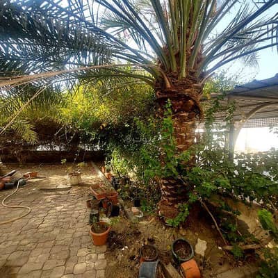 فلیٹ 1 غرفة نوم للايجار في الحيل، مسقط - شقة غرفة نوم واحدة للإيجار في الهيل، مسقط