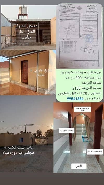 ارض سكنية  للبيع في بركاء، الباطنة - أرض سكنية للبيع في بركة، الباطنة