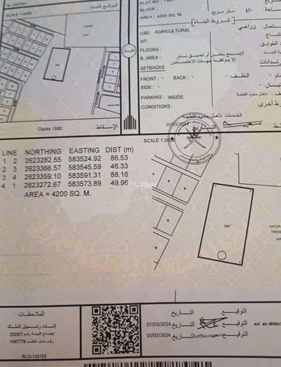 ارض سكنية  للبيع في بركاء، الباطنة - أرض سكنية للبيع في بركة، الباطنة