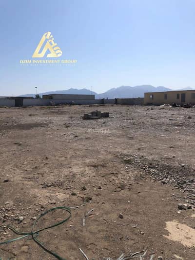 Residential Land for Rent in Barka, Al Batinah - Residential Land For Rent in Barka, Al Batinah