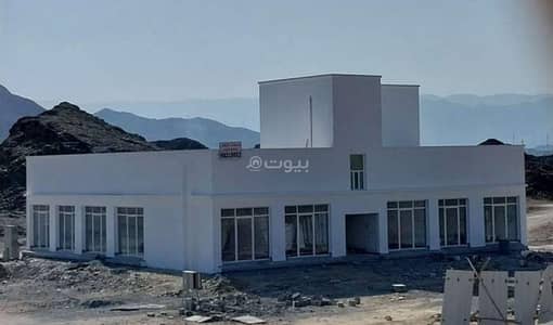 عقارات تجارية اخرى  للبيع في العامرات، مسقط - عقار تجاري للبيع في الأمارا، مسقط